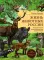 Жизнь животных России: познавательная иллюстрированная энциклопедия