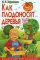 Умный сад в картинках. Как плодоносят деревья