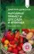 Народные приметы для сада и огорода. Предсказания урожая
