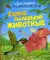 Самые маленькие животные