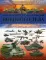 Большая детская энциклопедия военного дела