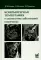 Компьютерная томография в диагностике заболеваний кишечника. 2-е изд