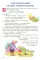 Жил-был Сережа. В 3 кн. Кн. 1: сборник рассказов: для чтения родителями детям 2-3 лет