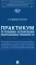 Практикум по правовому регулированию информационных технологий (IT)
