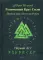 Рунический Круг Силы. Первый Атт. Полный курс обучения рунам. Часть 1