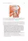 Topographic Anatomy and Operative Surgery: textbook: на англ.яз