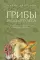 Грибы русского леса: иллюстрированный определитель
