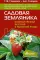 Садовая земляника. Богатый урожай вкусной и полезной ягоды