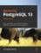 Mastering PostgreSQL 13