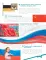 Наша Россия