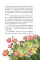 Клара Катастрофея и лесное волшебство