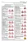 ПДД РФ (с илл.) 2025 с измен + Экзаменационные (тематич-е) задачи, кат. А,В,М и подкатегорий А1, В1 с коммент.(комплект из 2-х книг)