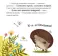 Приключения Ежика. Круглый год в лесу