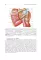 Topographic Anatomy and Operative Surgery: textbook: на англ.яз