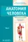 Анатомия человека: Учебник. В 2 т (комплект из 2-х книг)