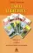 Таро и бизнес. Финансы, карьера, материальное положение. 3-е изд., испр