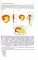 Neurology and neurosurgery = Неврология и нейрохирургия: textbook : in 2 vol.  Vol. 1. Neurology. 5-е изд., доп