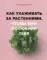 Как ухаживать за растениями, чтобы они полюбили тебя