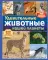 Удивительные животные нашей планеты