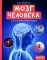 Мозг человека: самая умная энциклопедия