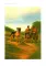 VELOX: fantasia hist6rica = ВЕЛОКС: историческое фэнтези (кн.на испан.яз.)