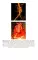 Сосудистая хирургия В.С. Савельева: национальное руководств. Краткое издание