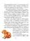 Книги про котиков для всей семьи (комплект из 2-х книг)