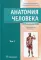 Анатомия человека: Учебник. в 2 т. Т. 1
