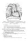 Функциональная анатомия эндокринной системы: Учебное пособие. 10-е изд., доп. и испр