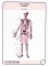 Анатомия человека: карточки (47 шт). Остеология: Учебное пособие