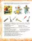 Логопедические домашние задания для детей 5-7 лет с ОНР (комплект из 4-х альбомов)