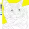 Коты и кошки