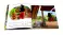 Bing Favourite Stories 