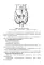 Функциональная анатомия эндокринной системы: Учебное пособие. 10-е изд., доп. и испр