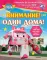 Внимание! Один дома!