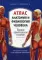 Атлас. Анатомия и физиология человека: полное практическое пособие. 2-е изд., доп