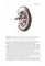 Human Anatomy: textbook. in 2 vol. Volume 2 = Анатомия человека: Учебник.  В 2 т. Т. 2 (кн. на англ. яз.)