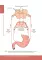 Pharmacology. Illustrated textbook: на англ.яз
