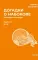 Догадки о Набокове. Конспект-словарь. В 3 кн. Кн. 2 (И-С)