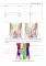 Topographic Anatomy and Operative Surgery. Workbook. In 2 parts. Part 2: на англ.яз