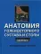 Анатомия голенностопного сустава и стопы. Цветной атлас МакМинна