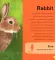 My First Book of Farm Animals
