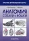 Анатомия собаки и кошки. 2-е изд., испр