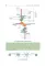 Biochemistry of the connective tissue. Biochemistry of mixed saliva: tutorial