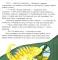 Что такое чувства? Развиваем эмоциональный интеллект