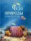 Чудо природы. История морской губки