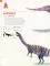 Dictionary of Dinosaurs