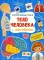 Тело человека. Интерактивные книги с наклейками
