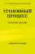 Уголовный процесс: конспект лекций 2-е изд