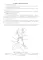Сосуды и нервы внутренних органов: Учебное пособие. 10-е изд., перераб. и доп